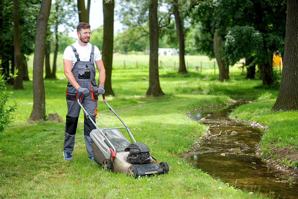File Gardener Careers Wales | Gyrfa Cymru